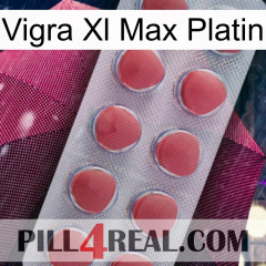 Vigra Xl Max Platinum 18